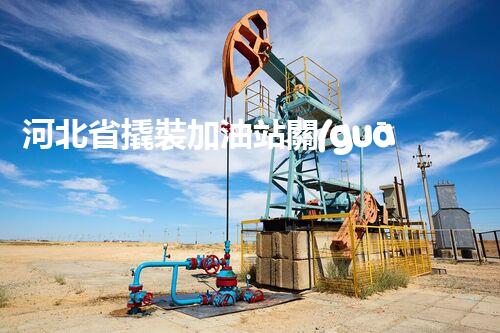 河北省撬裝加油站關(guān)鍵技術(shù)突破！化工廠拆除工程的新方法探索？